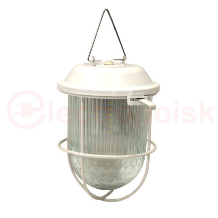 Светильник светодиодный ДСП-01-09-002 36В IP54    Желудь LED Элетех
