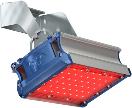 Светильник светодиодный ДБУ-49W IP67 1018Лм КСС D FL Red