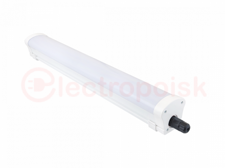 Diora LPO/LSP SE 60/6500 Mini-12 opal 6K T