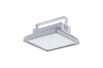Светильник светодиодный INSEL LB/S LED 80 D120 Ex 5000K G2